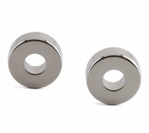 Size Customized Permanent Magnet Neodymium Ring Shaped Magnet